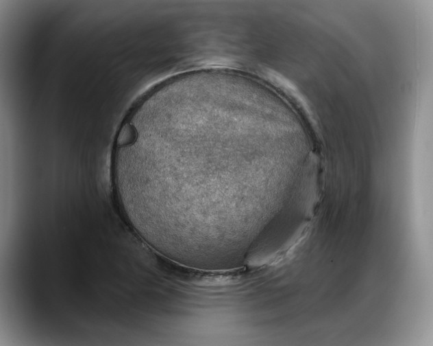 X0000088161174200705291905
