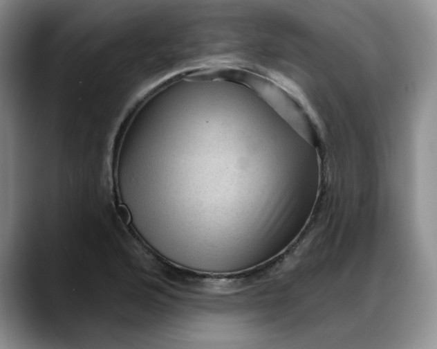 X0000088161176200705291905