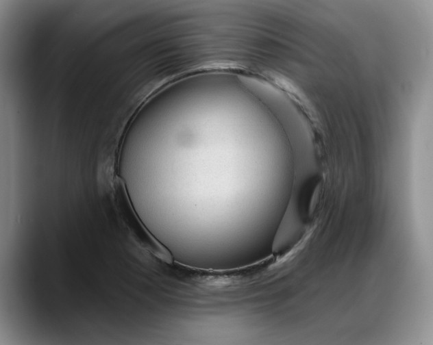 X0000088161177200705291905