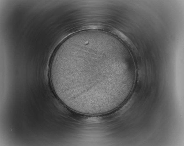 X0000088161178200705291905