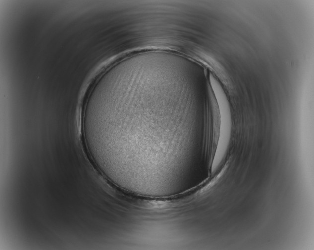 X0000088161180200705291905