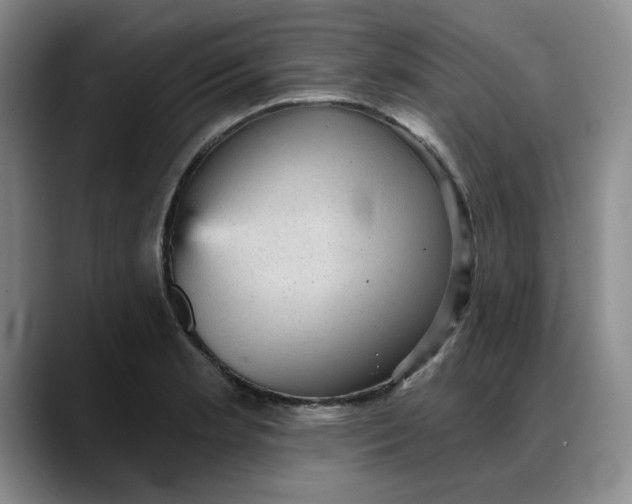 X0000088161181200705291905