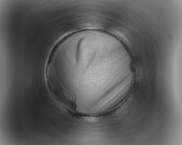 X0000088161182200705291905