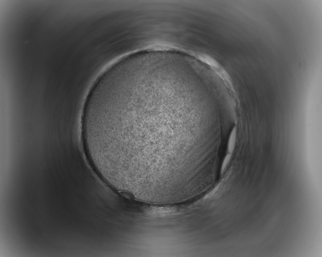 X0000088161183200705291905