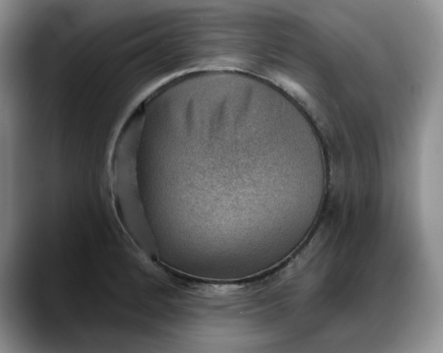 X0000088161184200705291905