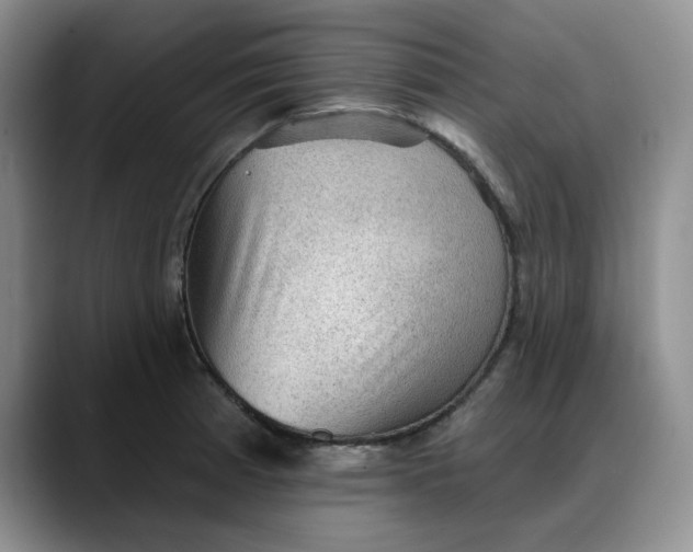X0000088161185200705291905