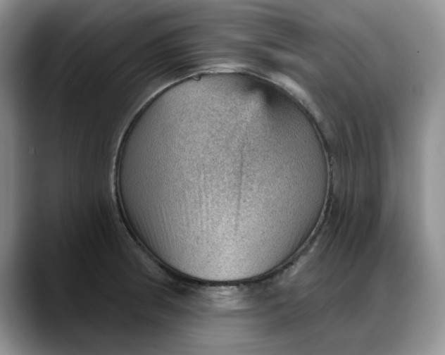 X0000088161186200705291905