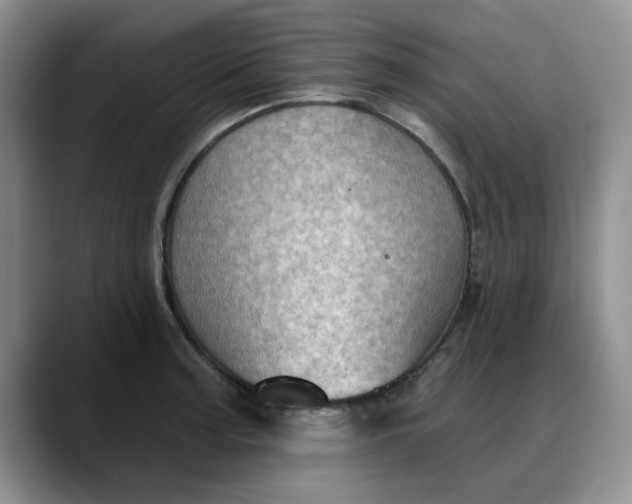 X0000088161187200705291905
