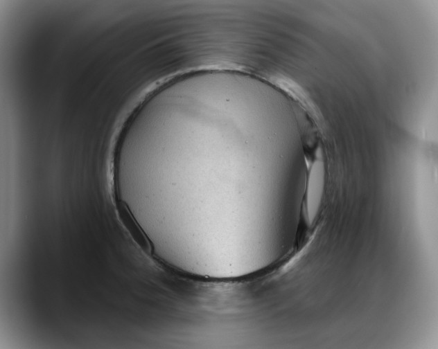 X0000088161188200705291905