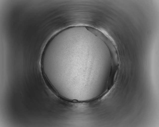 X0000088161189200705291905