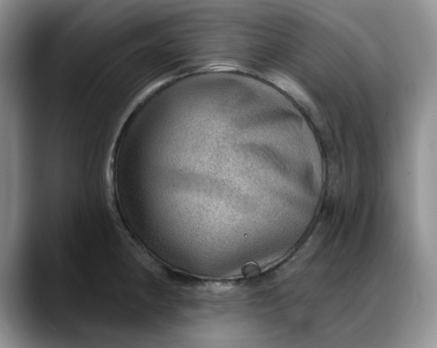 X0000088161190200705291905