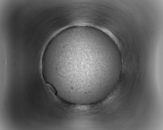 X0000088161191200705291905