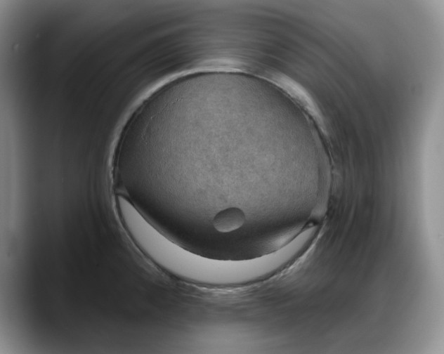 X0000088161192200705291905