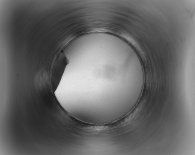 X0000088161193200705291905
