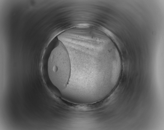 X0000088161194200705291905