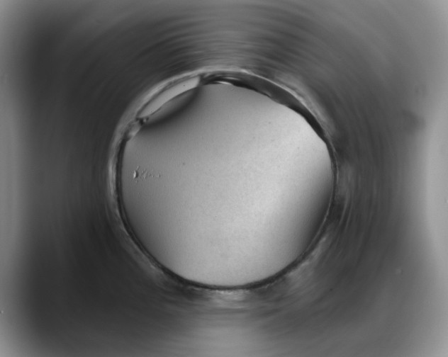 X0000088161196200705291905