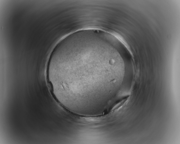 X0000088161197200705291905