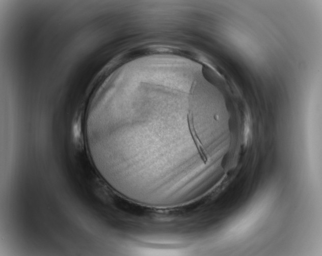 X0000088161198200705291905