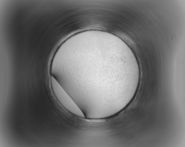 X0000088161200200705291905