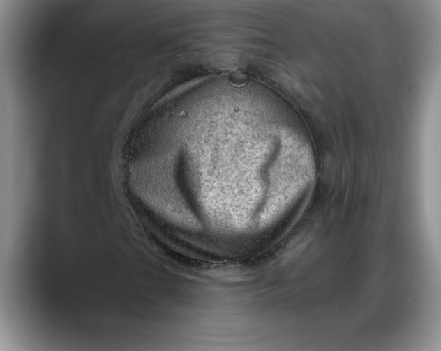 X0000088161201200705291904