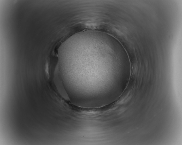 X0000088161202200705291904