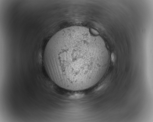 X0000088161203200705291904
