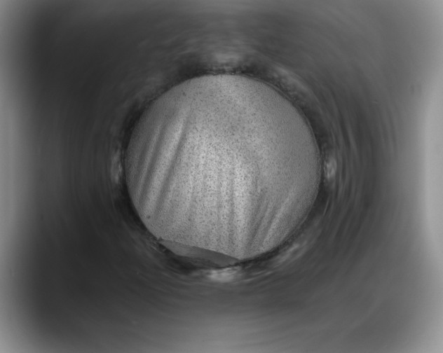 X0000088161204200705291904