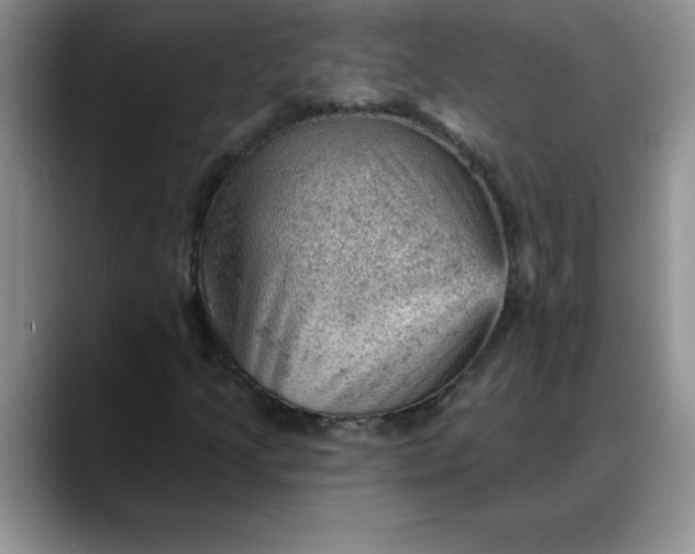 X0000088161205200705291904