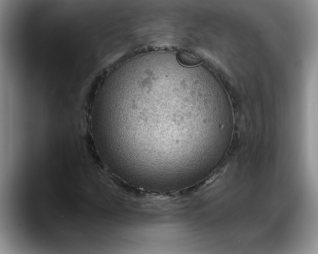 X0000088161207200705291904