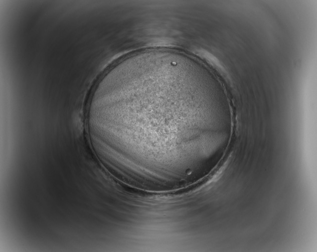 X0000088161212200705291904