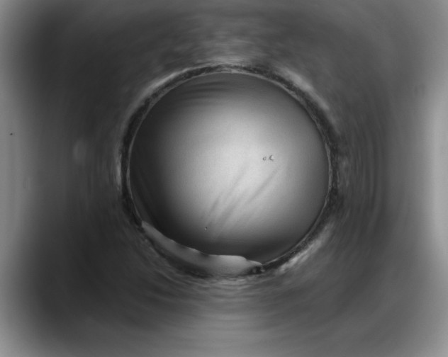 X0000088161214200705291904