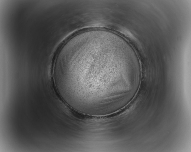 X0000088161216200705291904