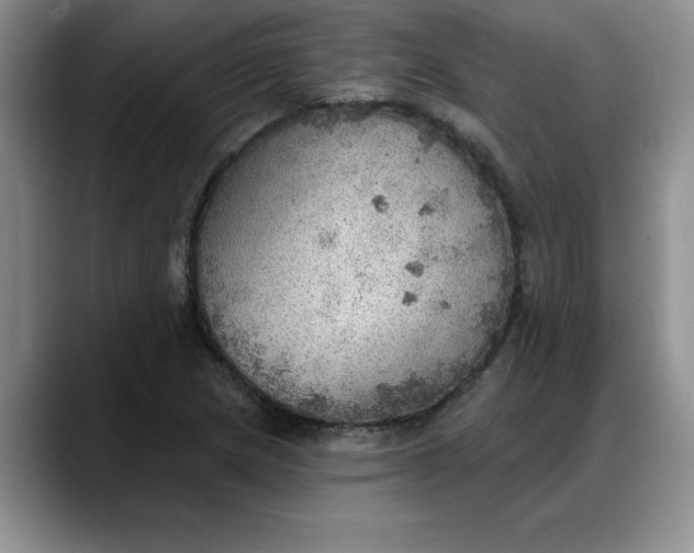 X0000088161217200705291904