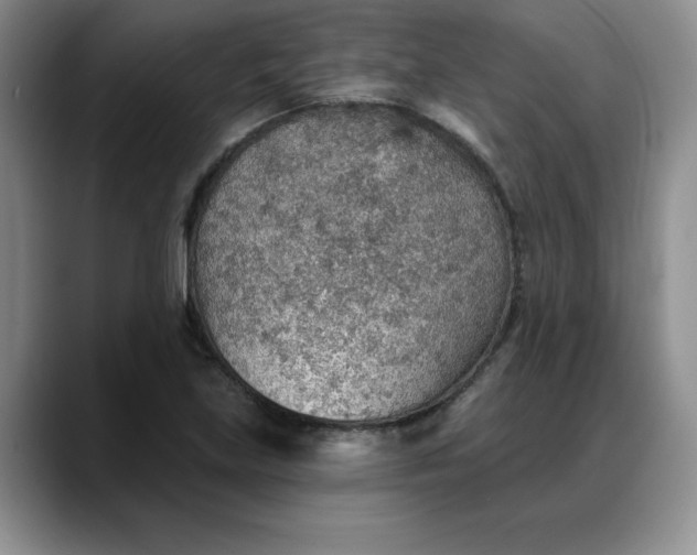 X0000088161219200705291904
