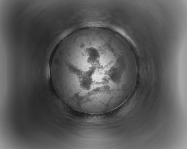 X0000088161221200705291904