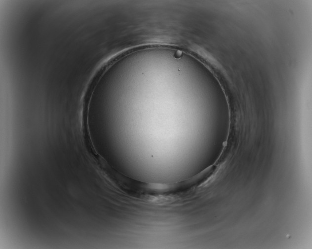 X0000088161222200705291904