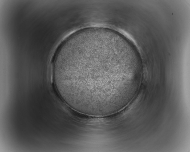 X0000088161223200705291905