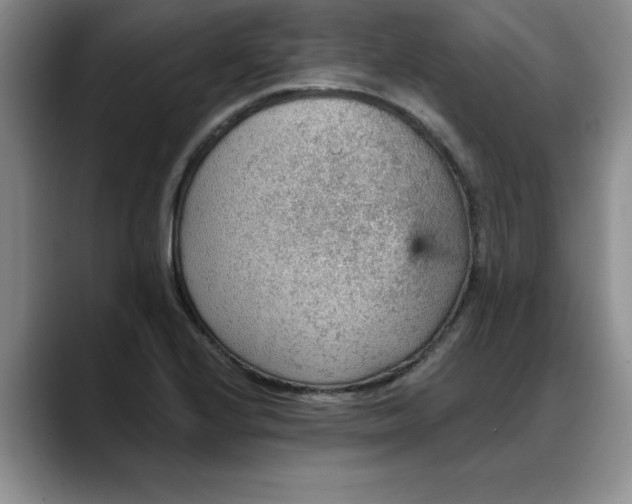 X0000088161224200705291905