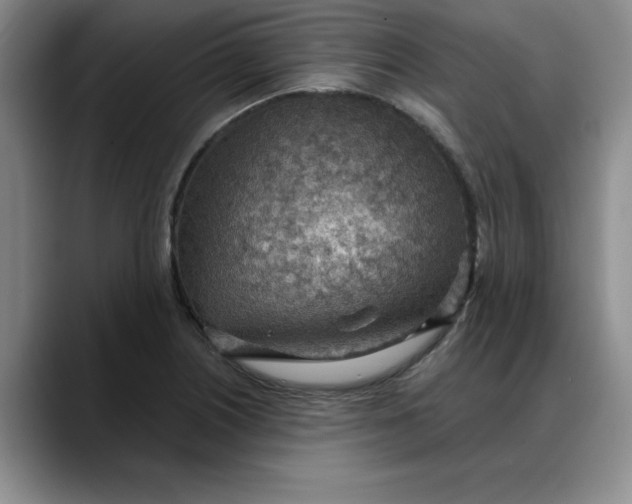 X0000088161226200705291905