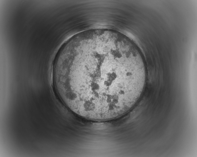 X0000088161227200705291905