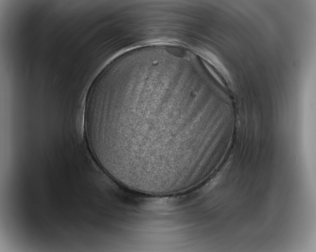 X0000088161228200705291905