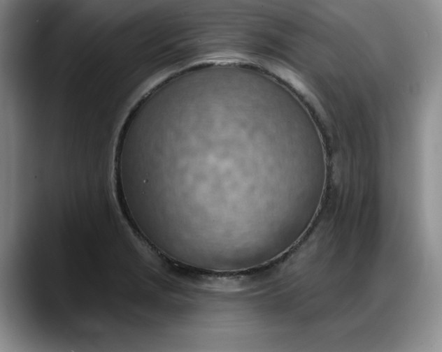 X0000088161229200705291905