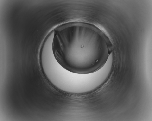 X0000088161230200705291905
