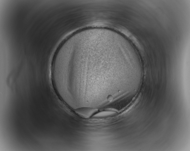 X0000088161232200705291905