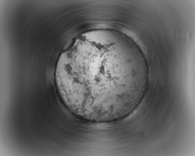X0000088161233200705291905