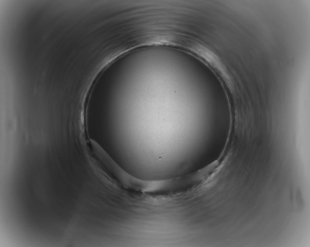 X0000088161234200705291905