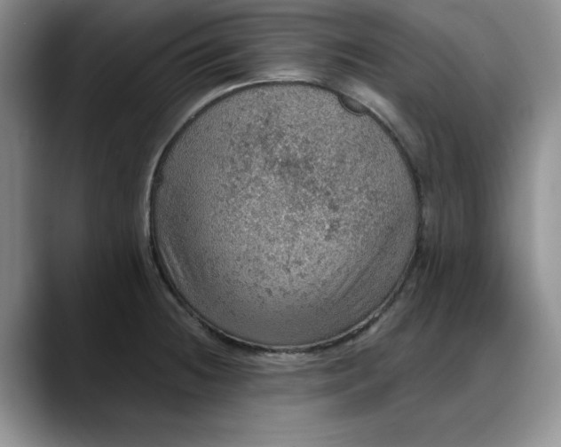X0000088161236200705291905