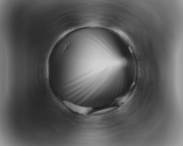 X0000088161238200705291905