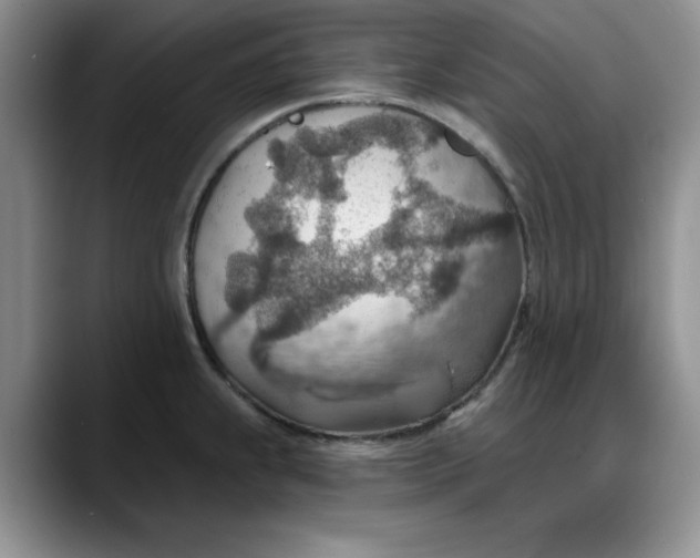 X0000088161239200705291905
