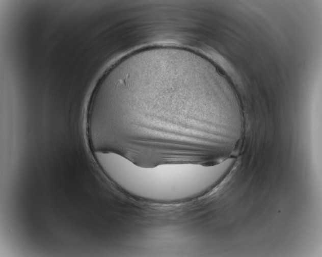 X0000088161240200705291905